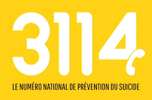3114 logo