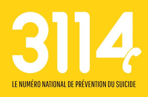 3114 logo