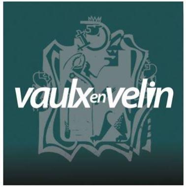 logo vv